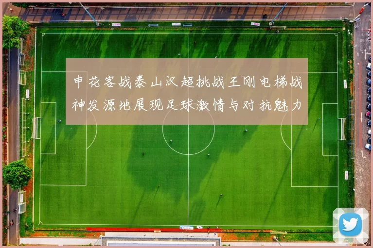 申花客战泰山汉超挑战王刚电梯战神发源地展现足球激情与对抗魅力