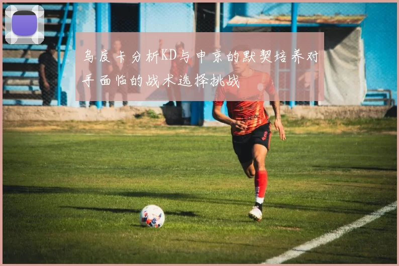 乌度卡分析KD与申京的默契培养对手面临的战术选择挑战