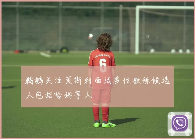 鹈鹕关注莫斯利面试多位教练候选人包括哈姆等人