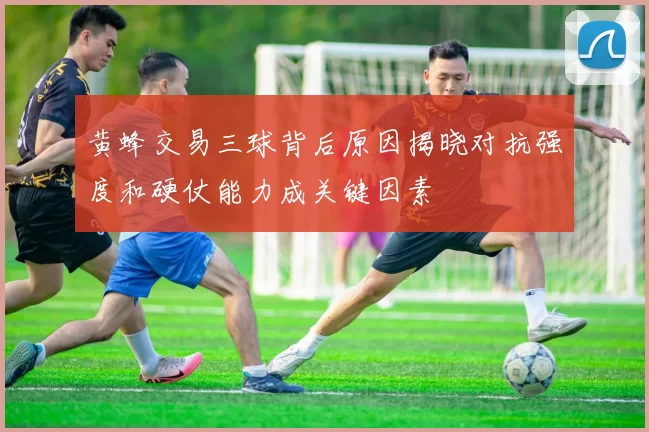 黄蜂交易三球背后原因揭晓对抗强度和硬仗能力成关键因素
